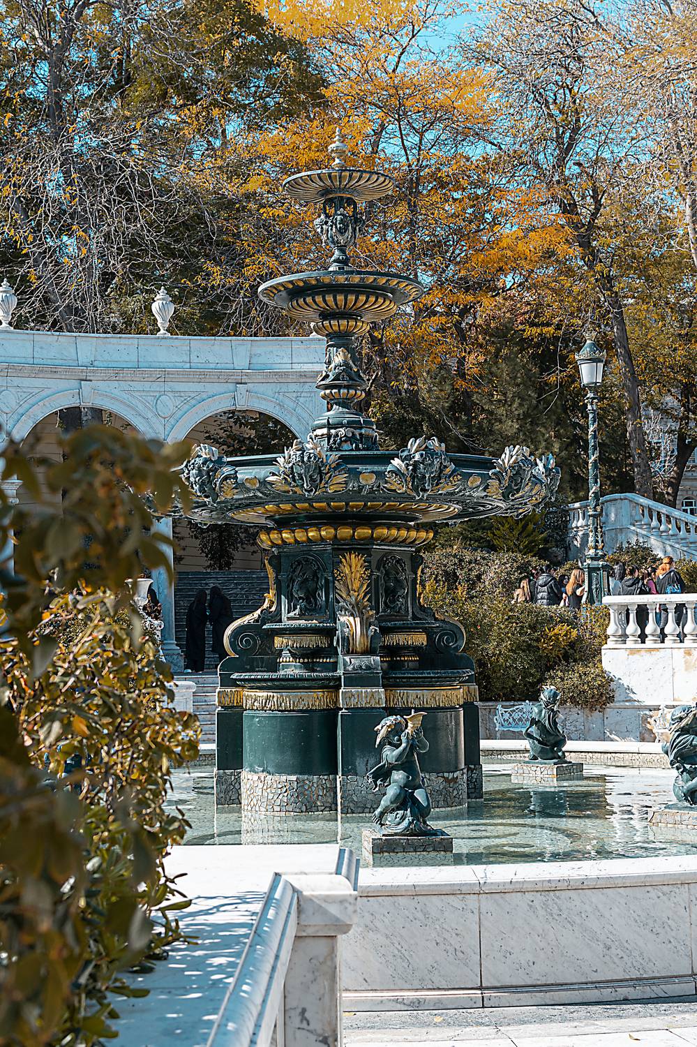 , Багриновская Наталия