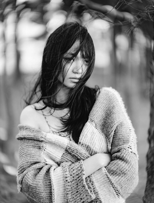 Лан фото превью