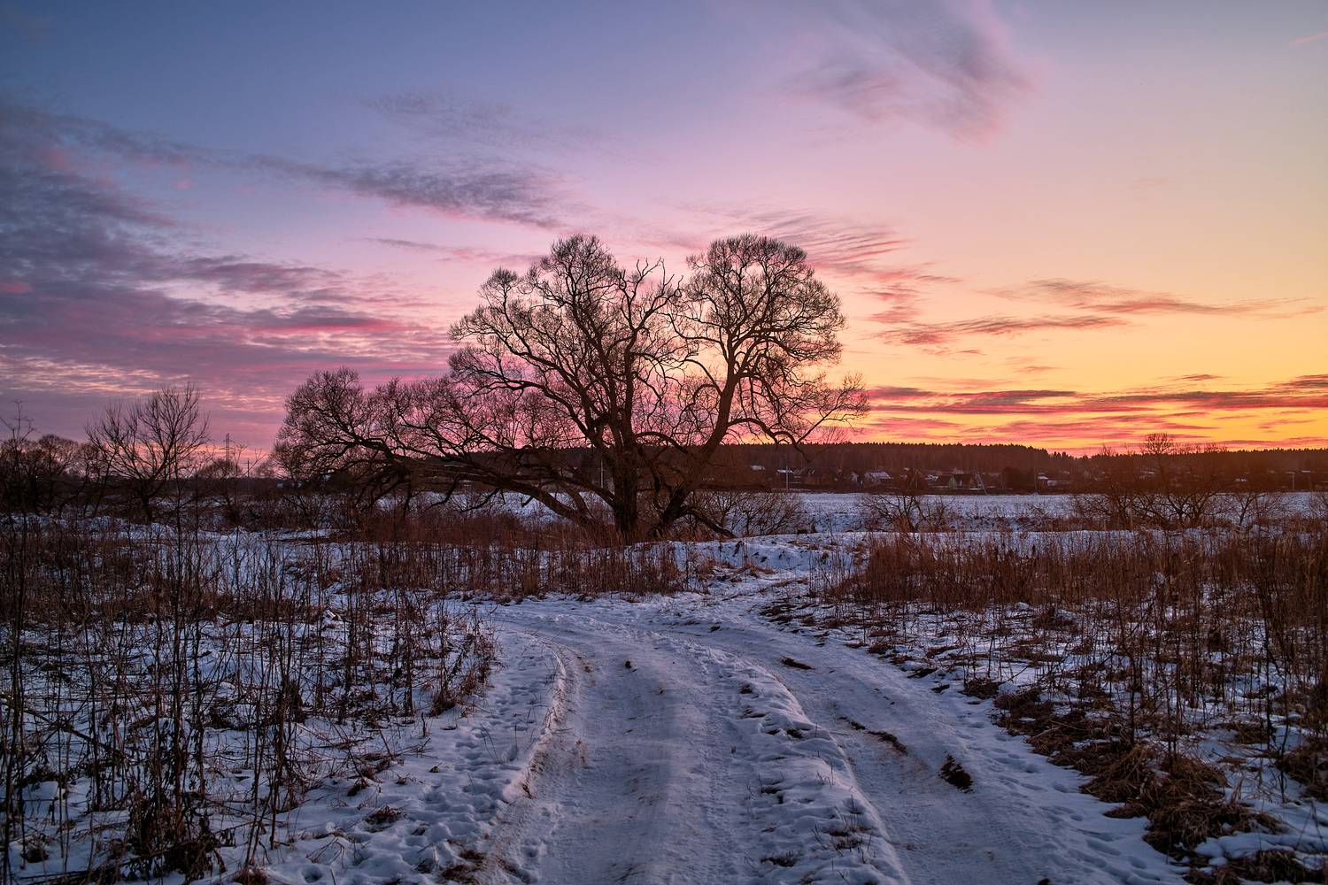 , Дыбов Дмитрий