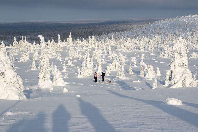 Статуи Рииситунтури 2 фото превью