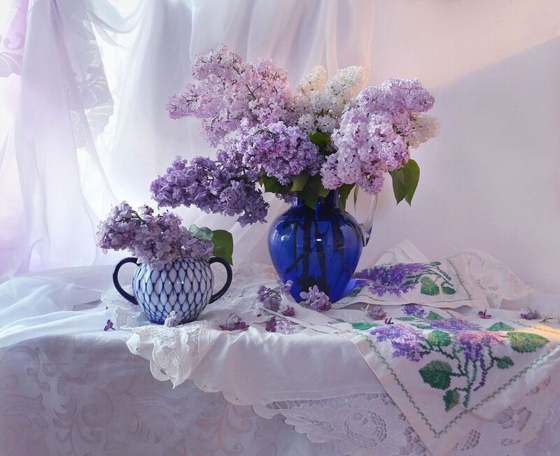 У сирени особенный запах. фото превью