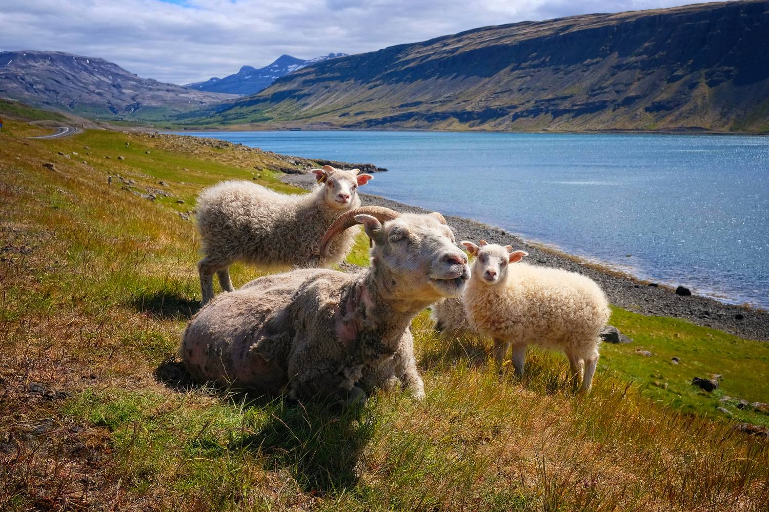 , Худзинская Ирина