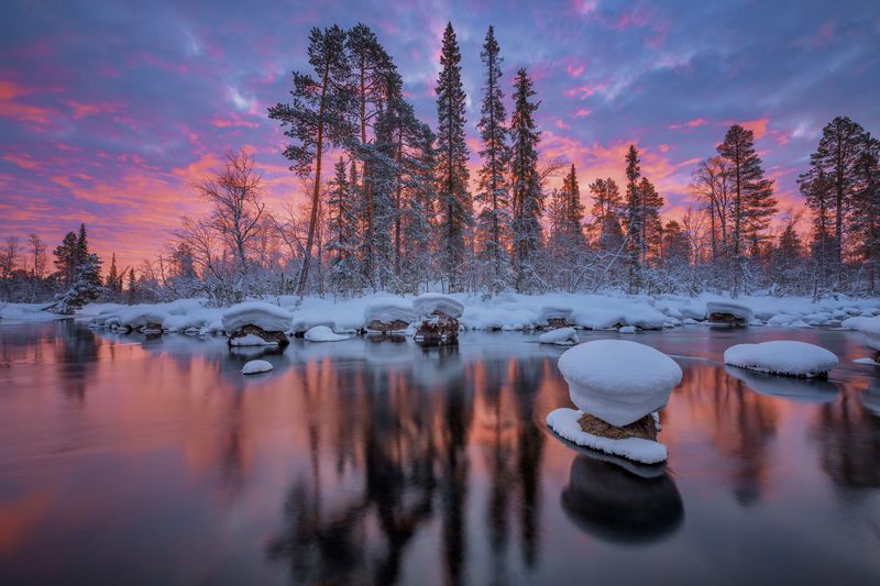 кольский, полуостров Утро под брусничным соусом... фото превью