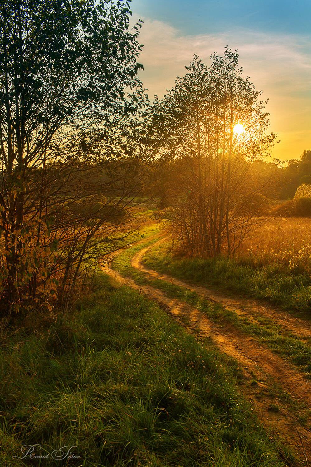 , Фотов Ренат