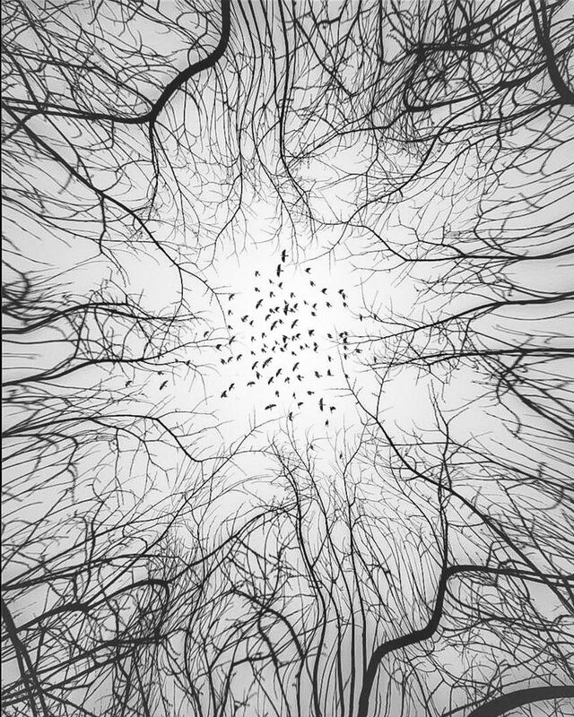 pickeyhan фото превью