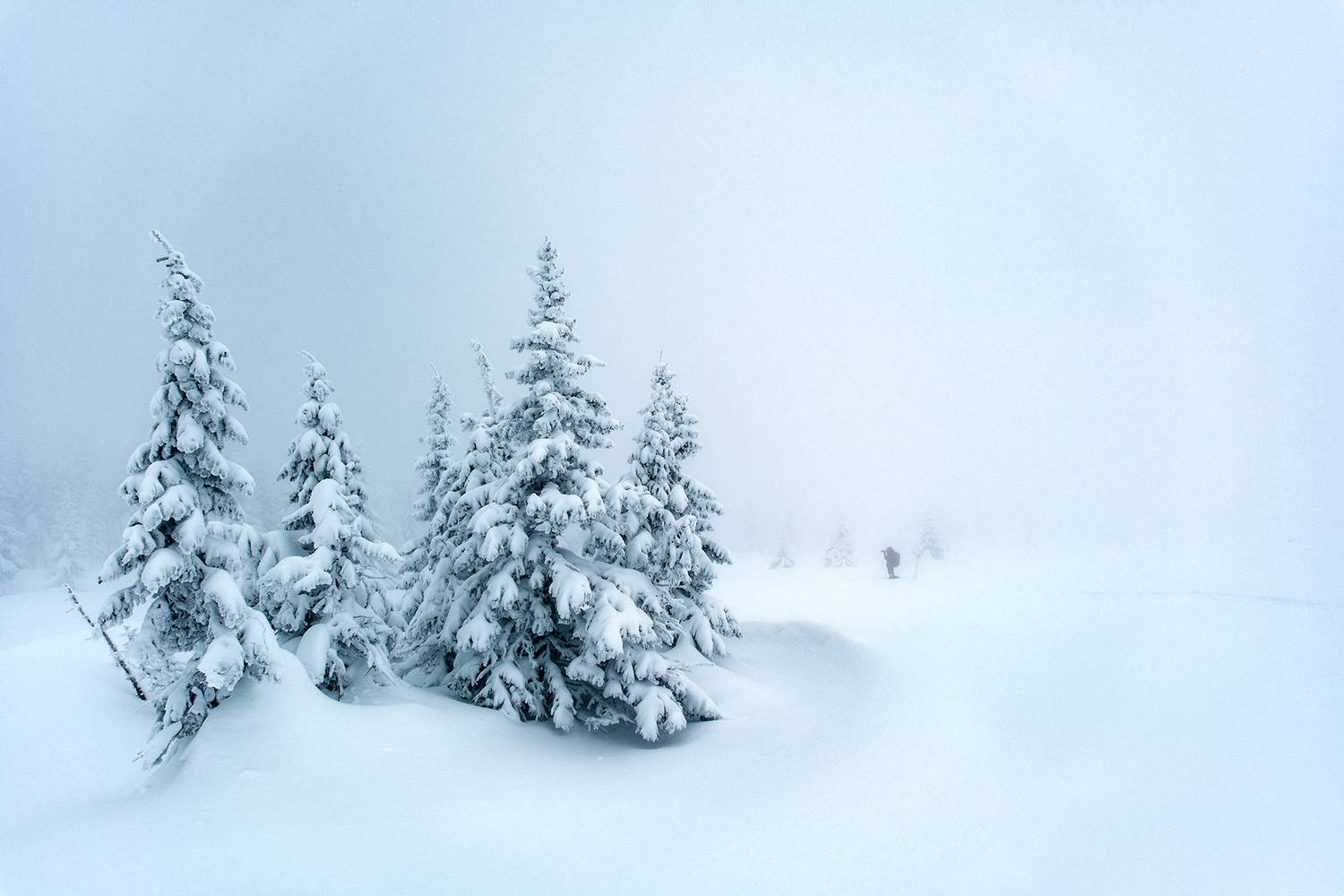 , Бодрягин Виталий