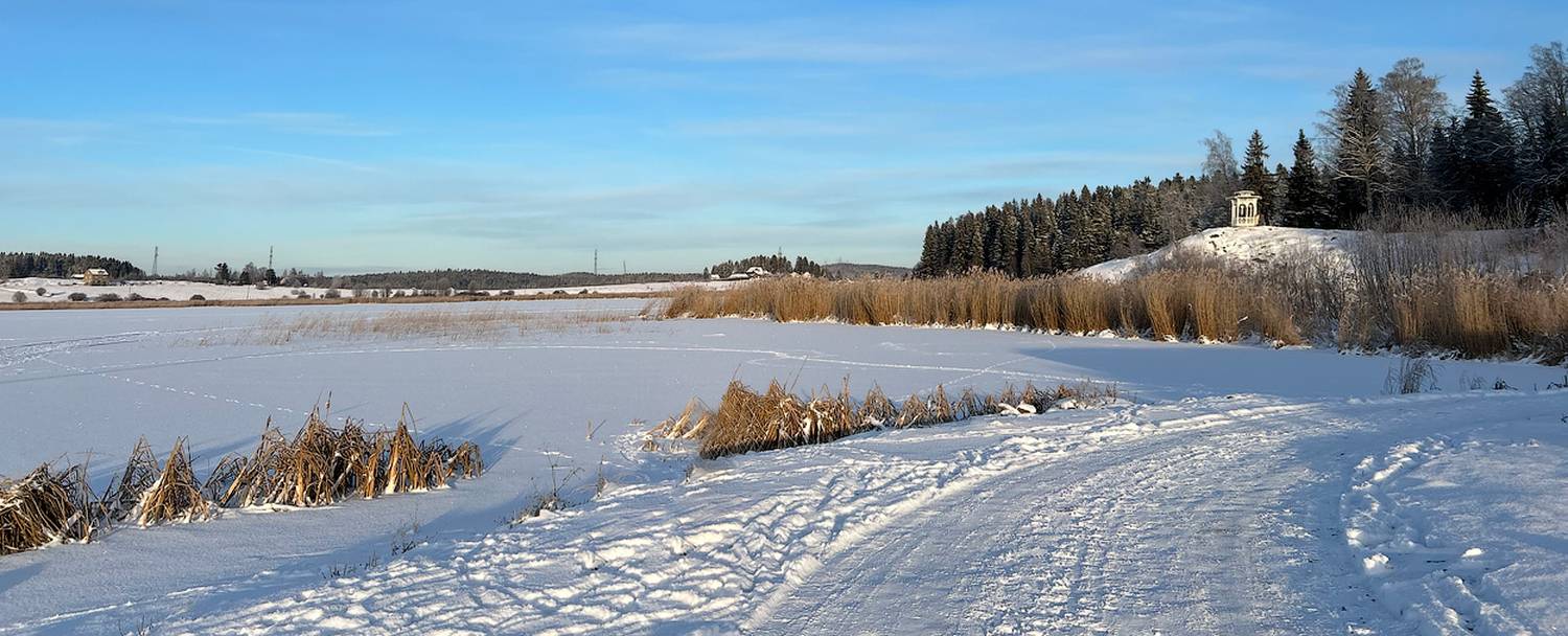 , Новикова Ольга