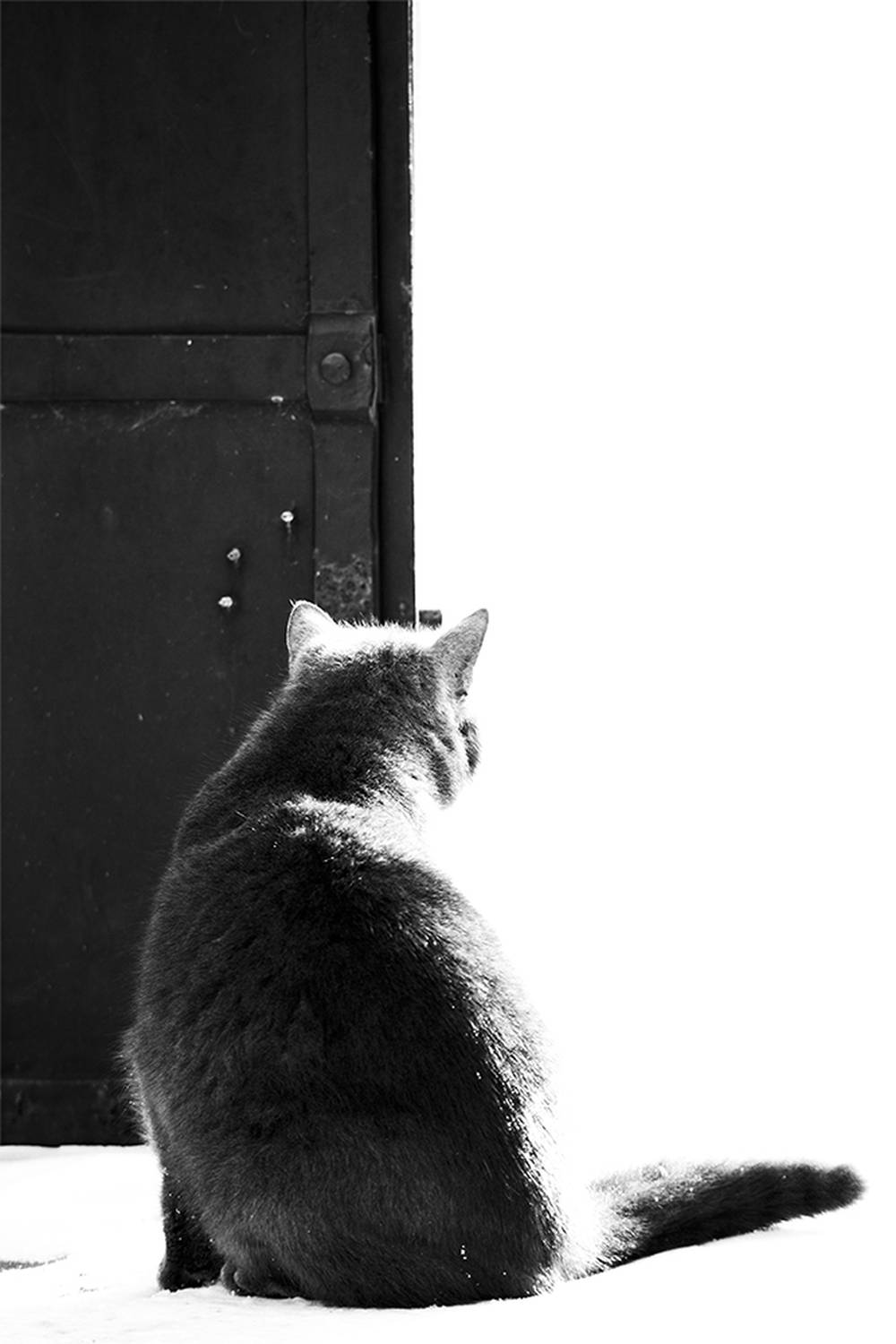 , Чудинин Дмитрий