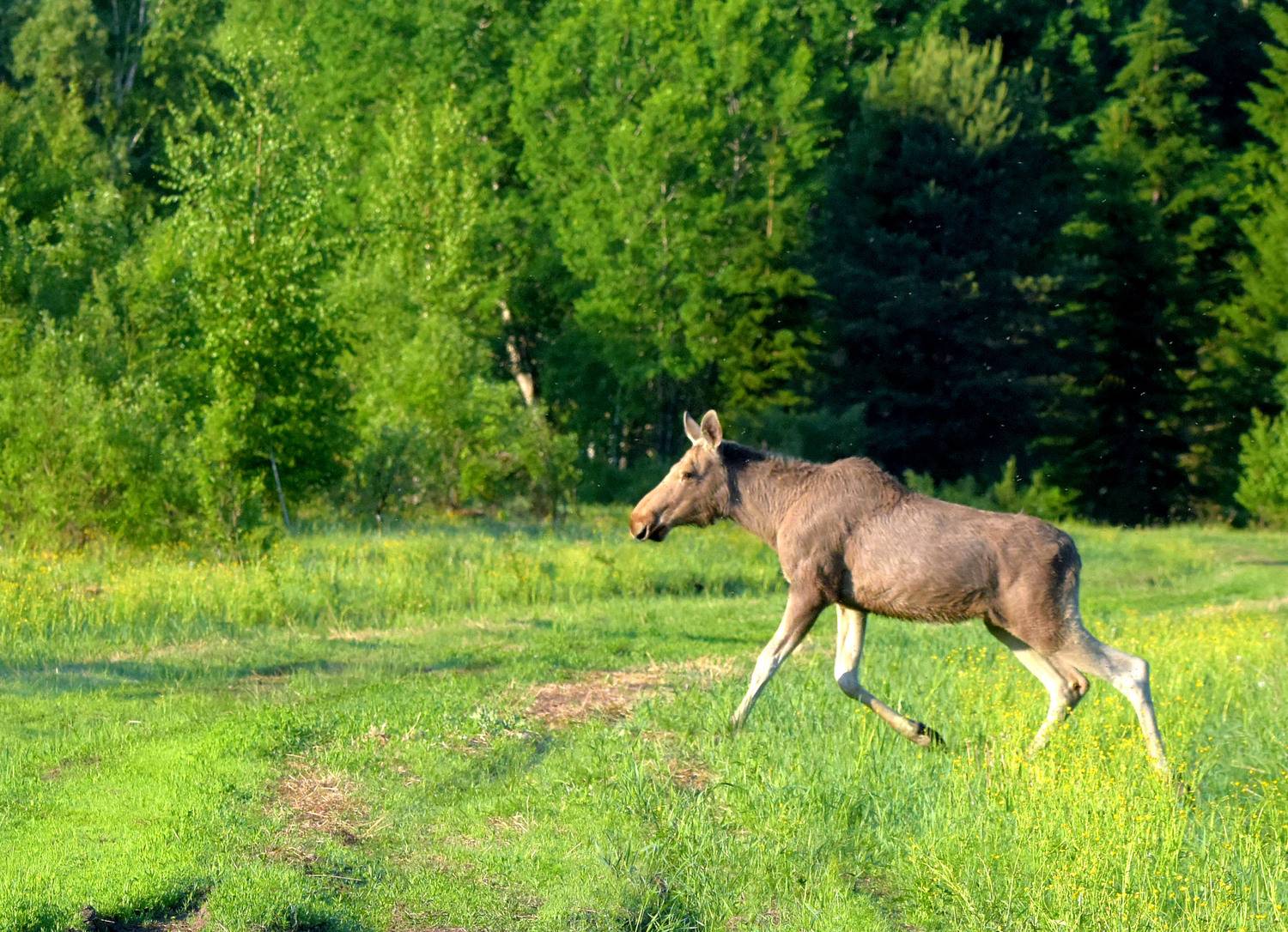 , Белоусов Михаил