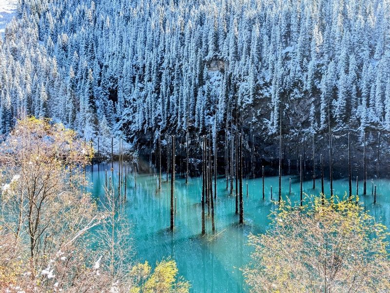 озеро каинды казахстан Озеро Каинды осенним утром Казахстан фото превью