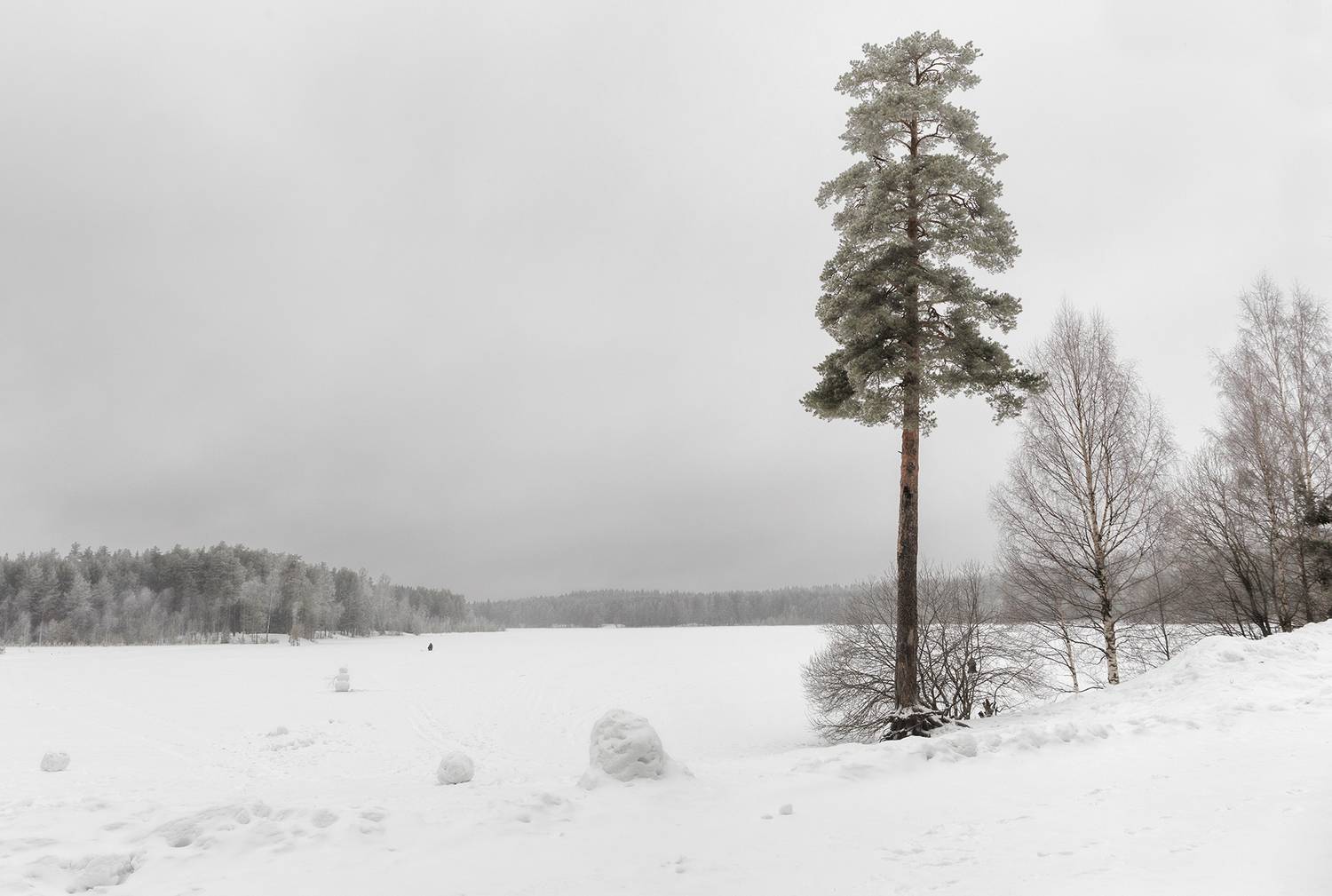 , Александр Смыков