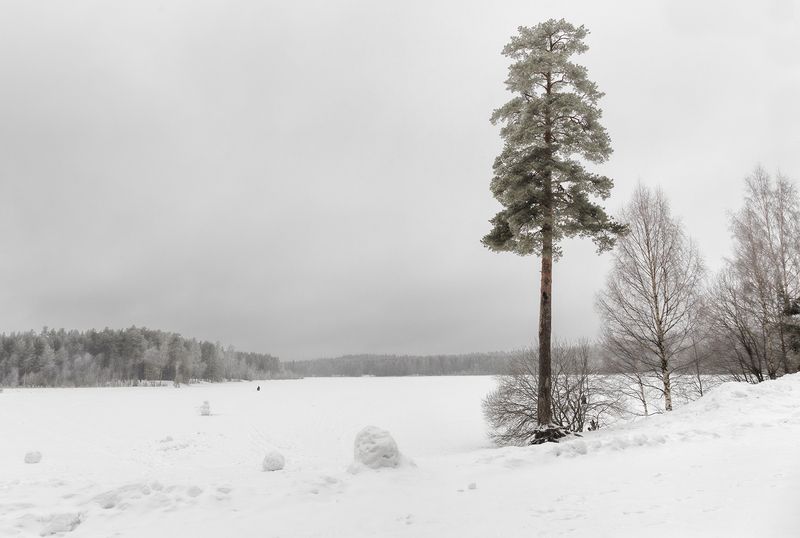 февраль фото превью