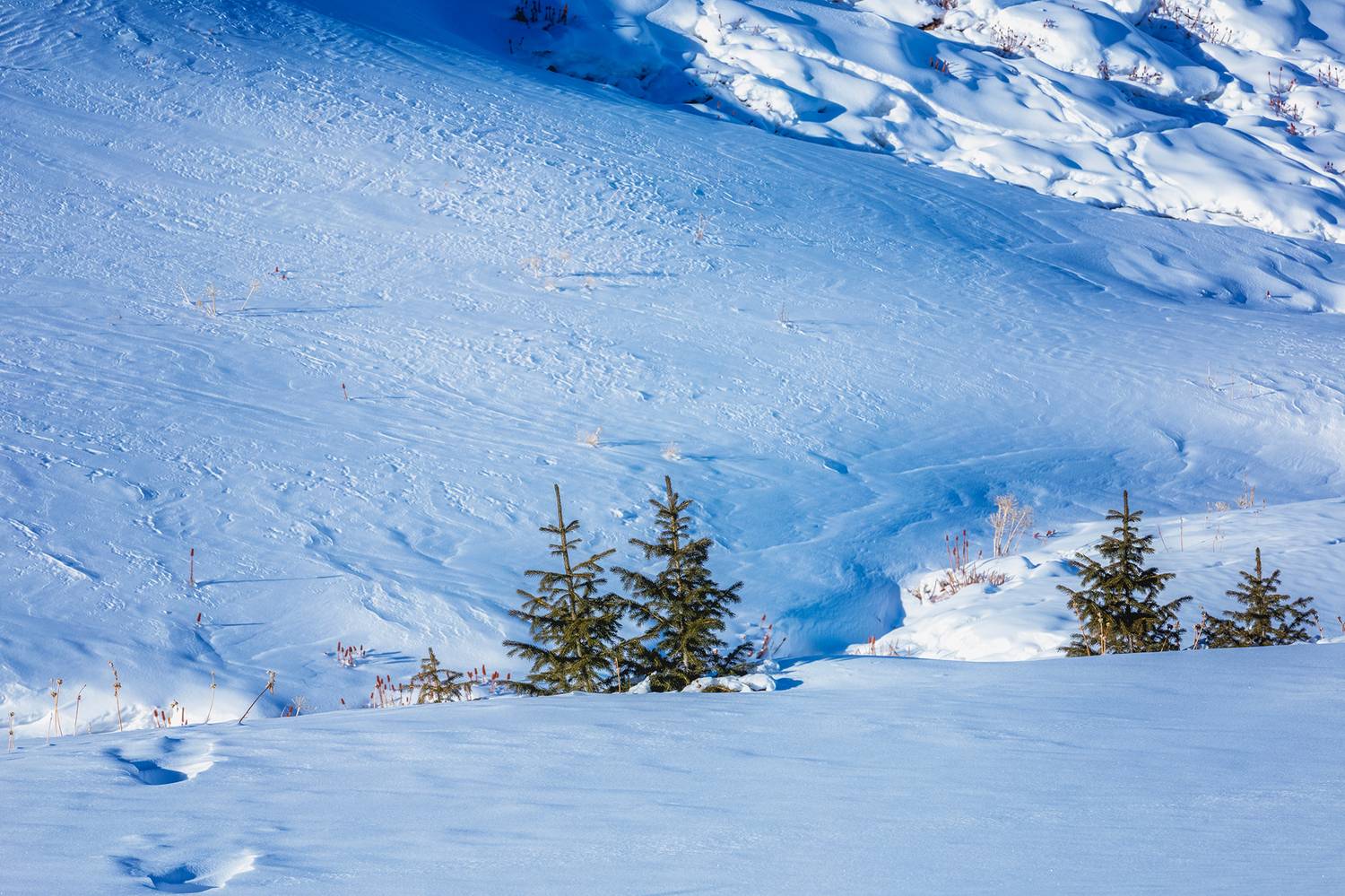 кыргызстан, урочище чункурчак, Элина Магалимова