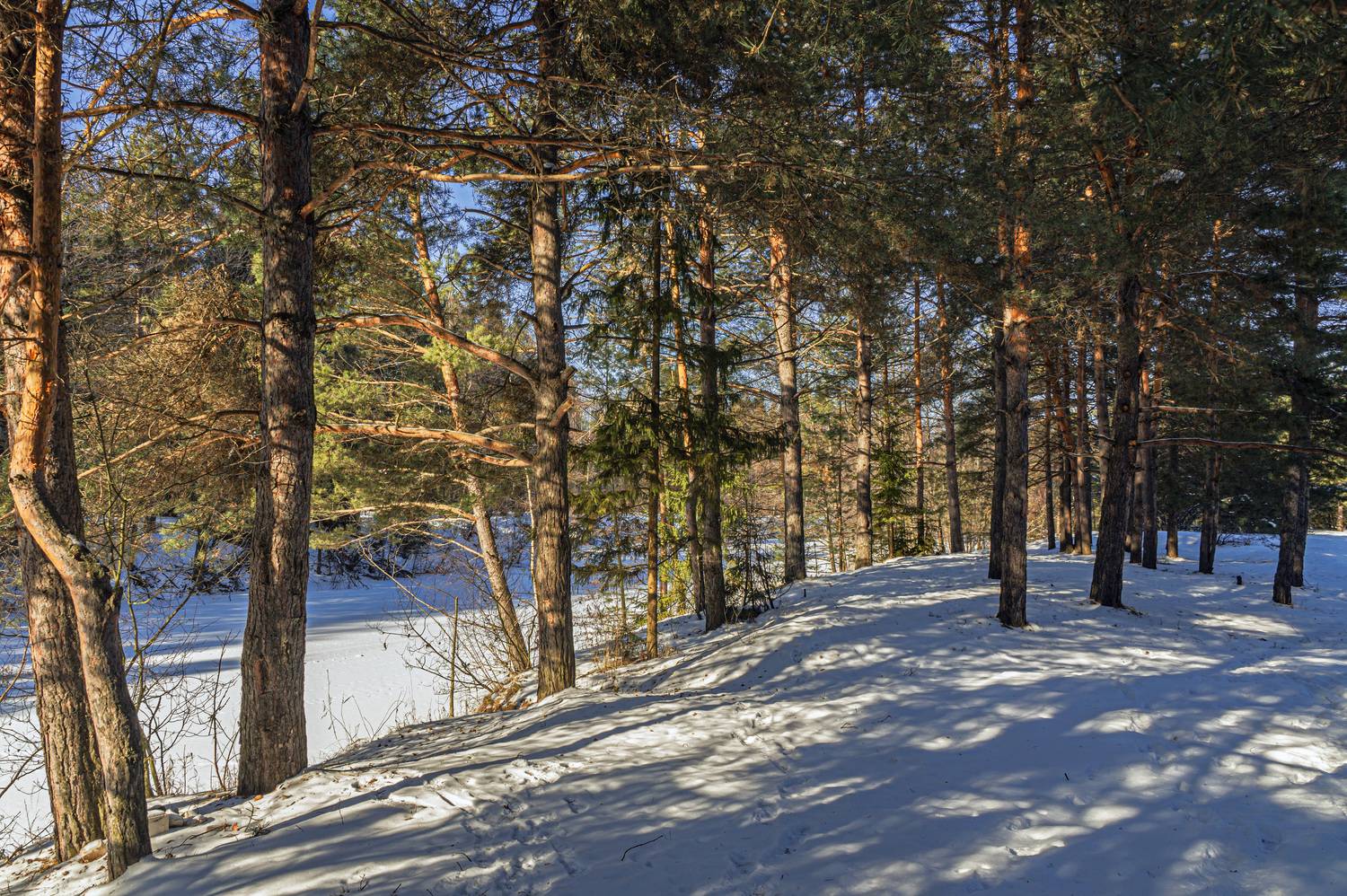 , Шитов Александр