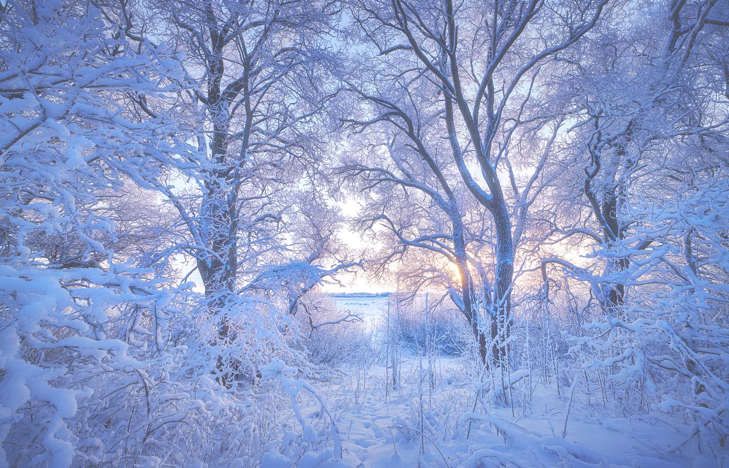 , Кононов Антон