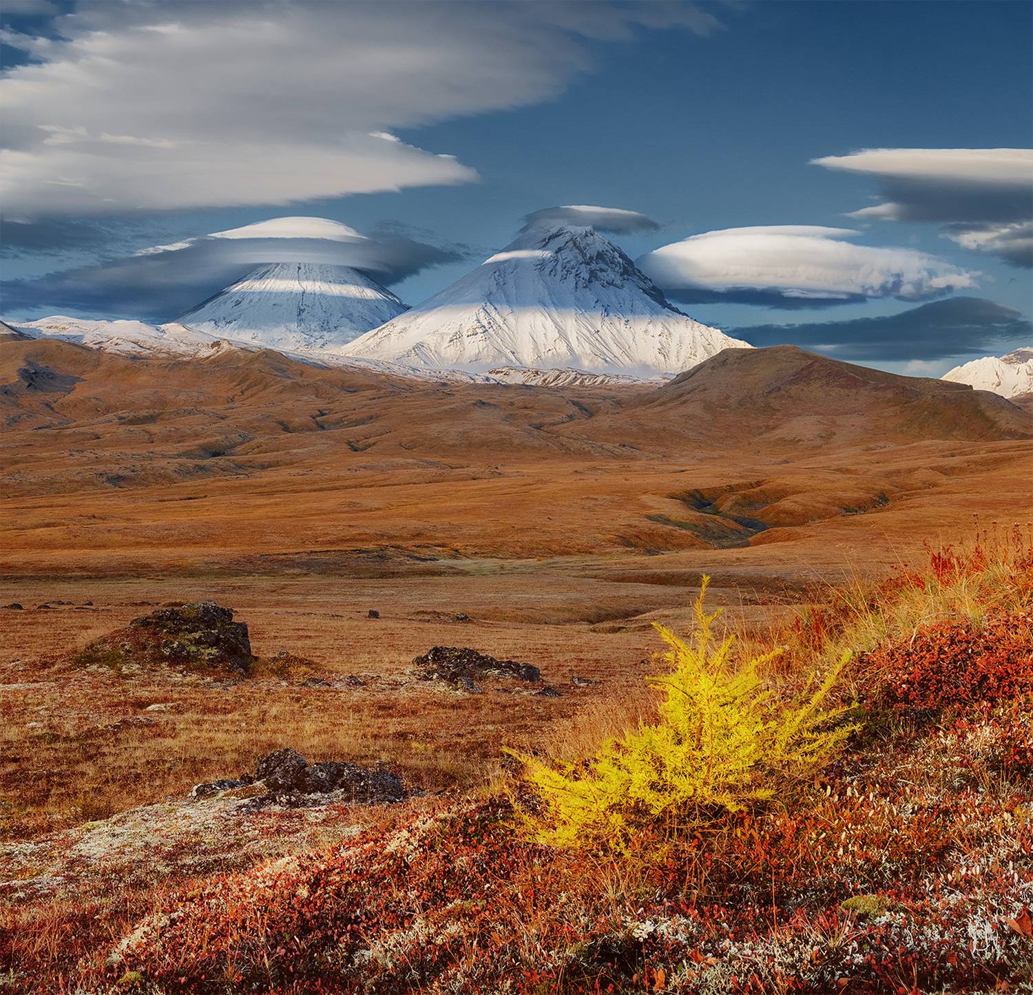 , Андрей Родионов