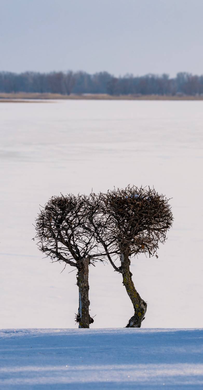, Подосинников Максим