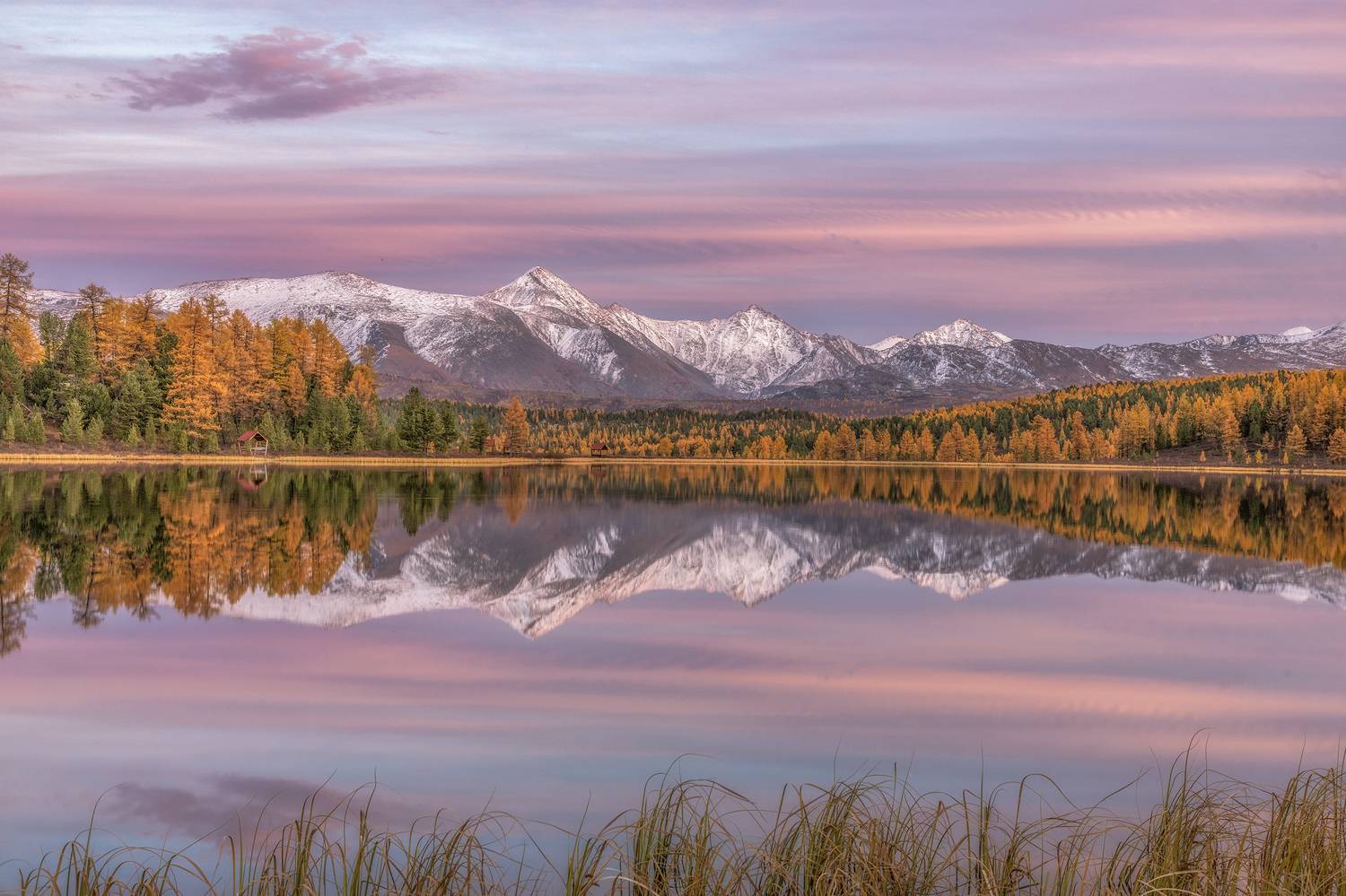 алтай, Гусева Елена