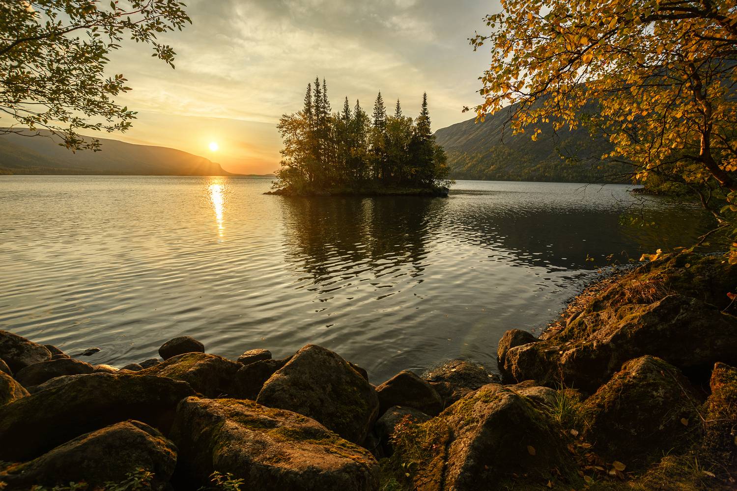 , Ян Сурогин