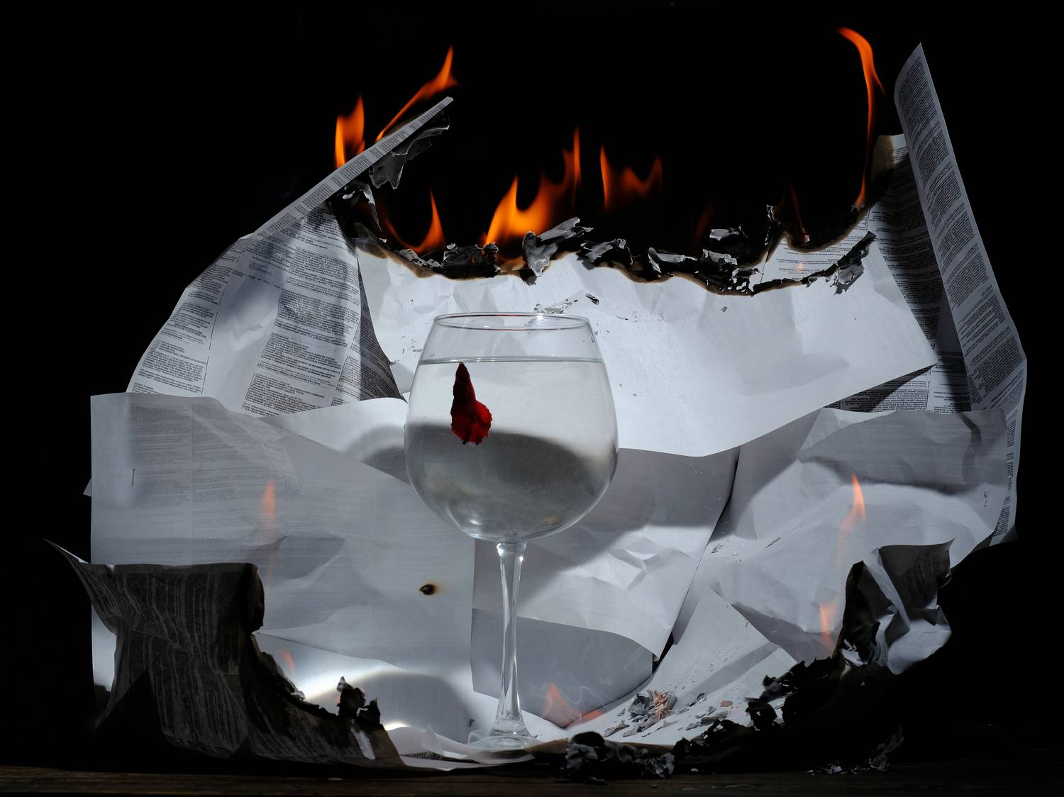 , Тим Мартынов