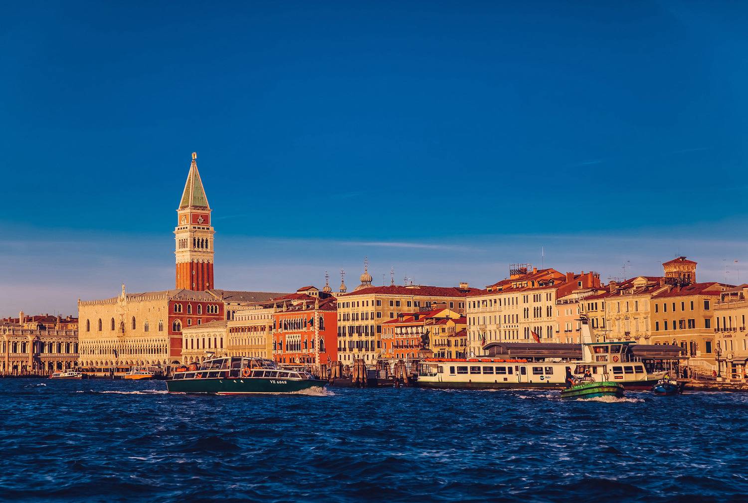 , Трепольский Дмитрий