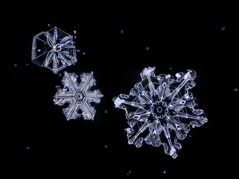 снежинка, зима, макро, микро Ледяной космос фото превью