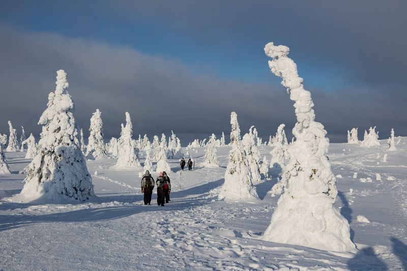 Статуи Рииситунтури 3 фото превью