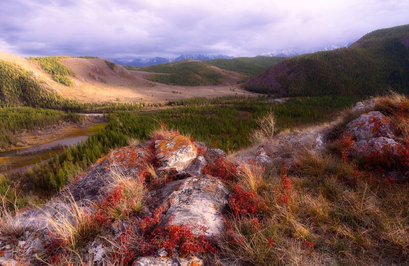 Осенние цвета фото превью