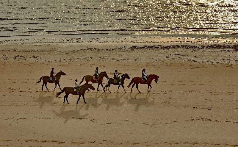 Они ехали молча... фото превью