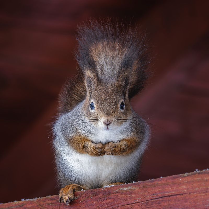 От всей души фото превью