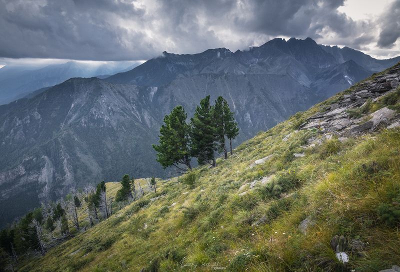 Пик любви фото превью