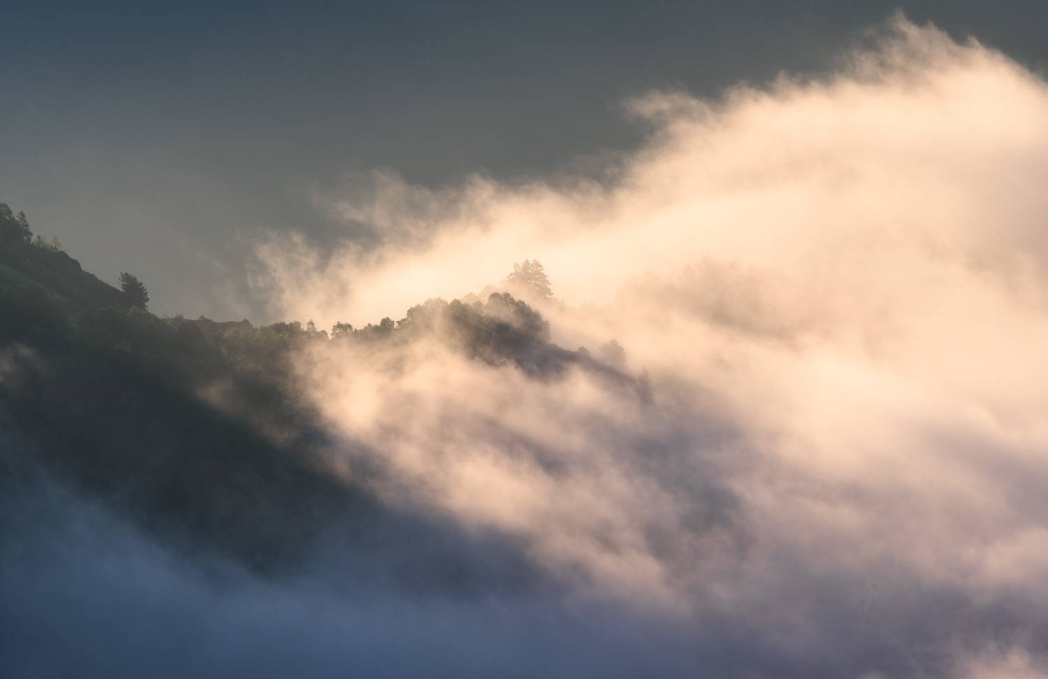 , Виталий Левыкин