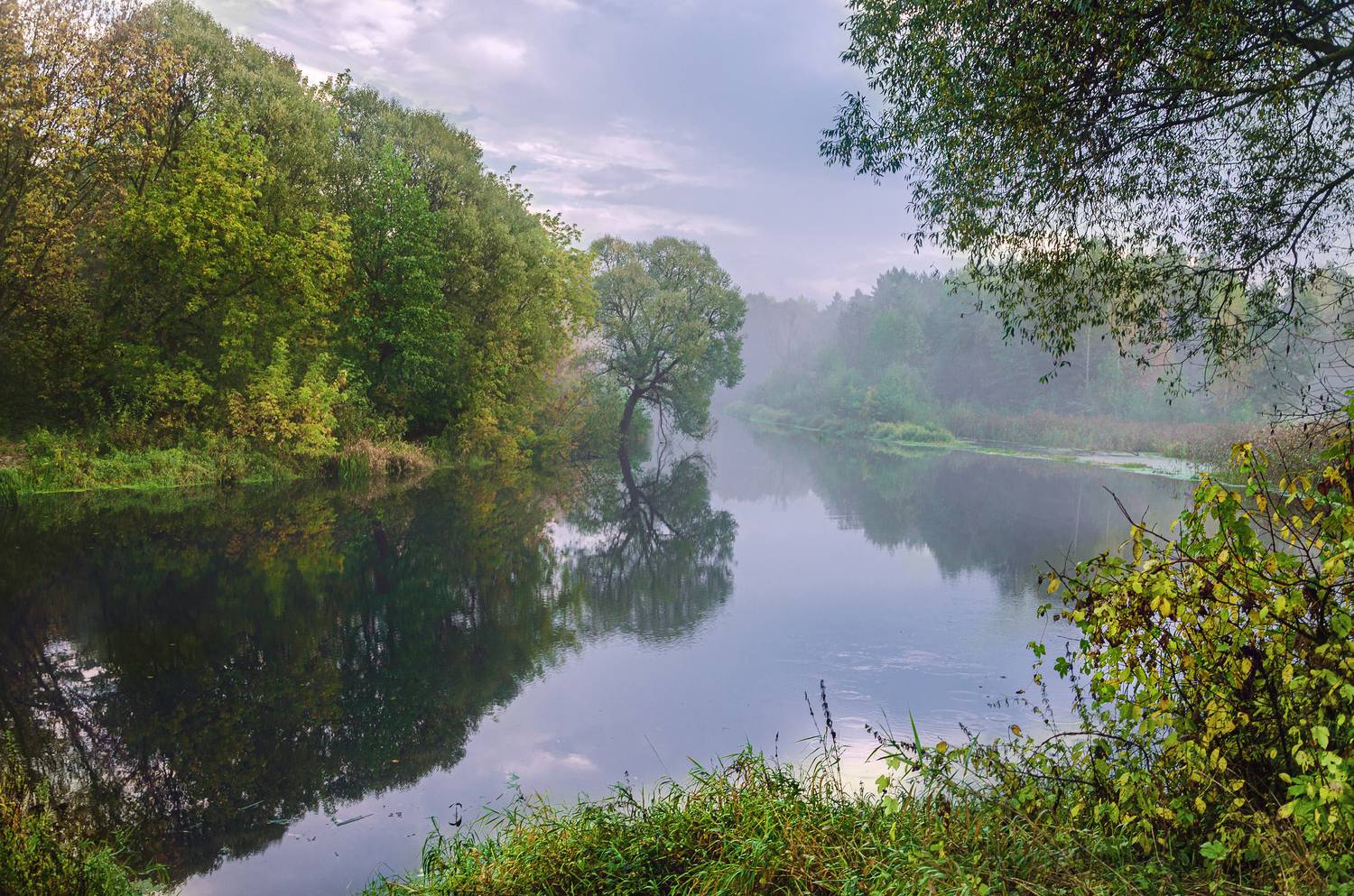 река утро туман, Александр Березуцкий