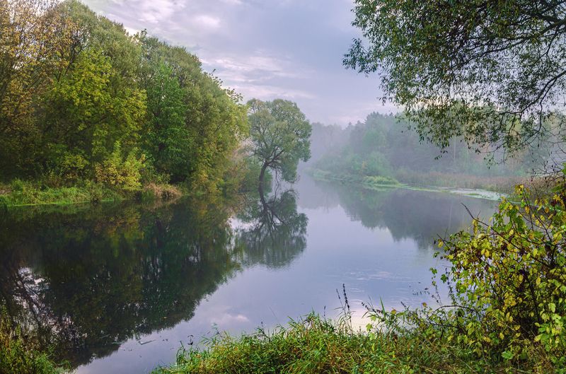 Утро на реке фото превью