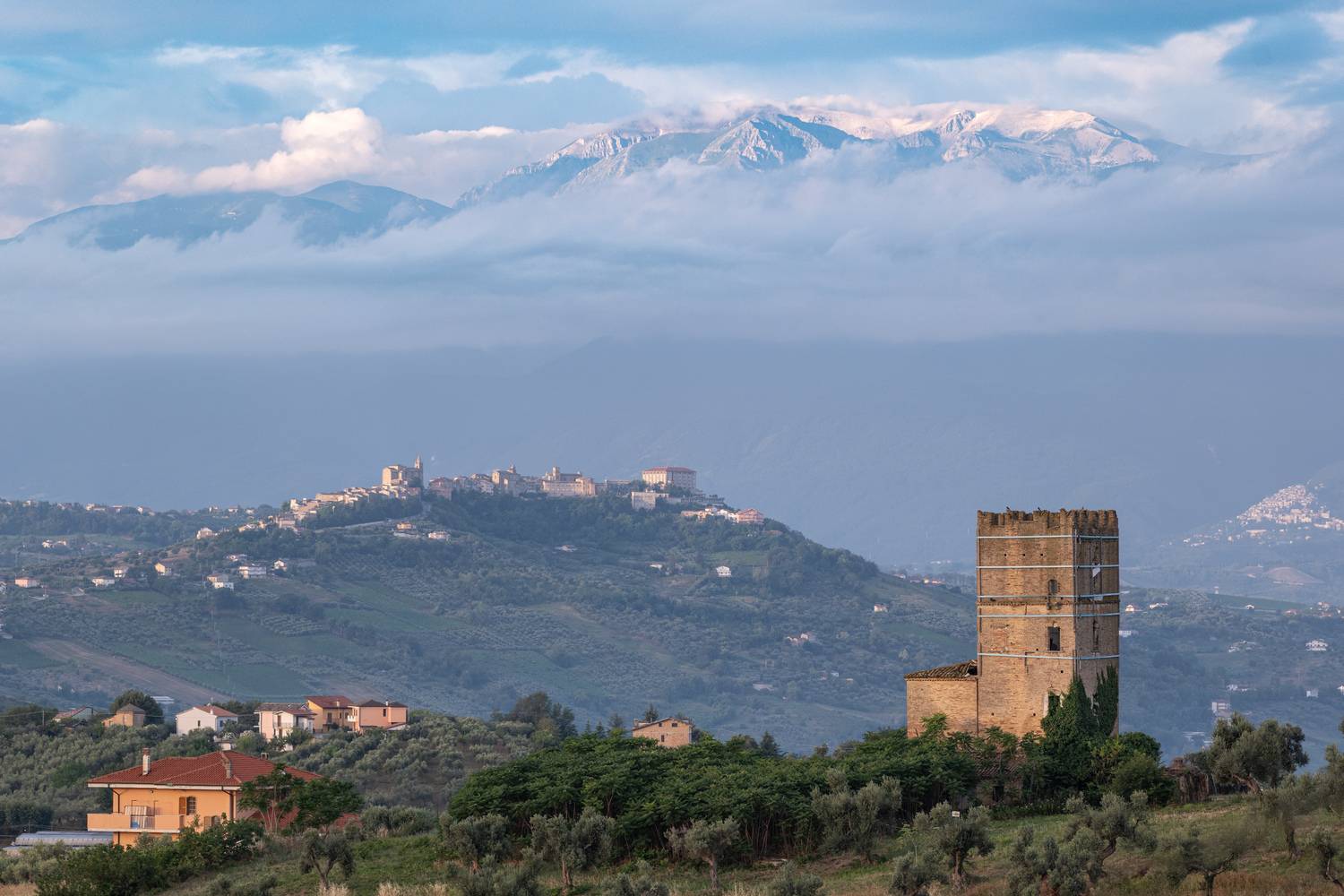 , Гордон Николай