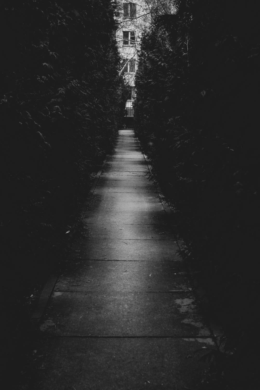 , Клюков Виталий