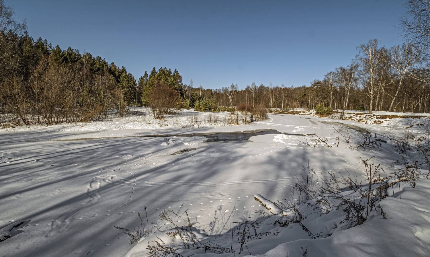 , Шитов Александр