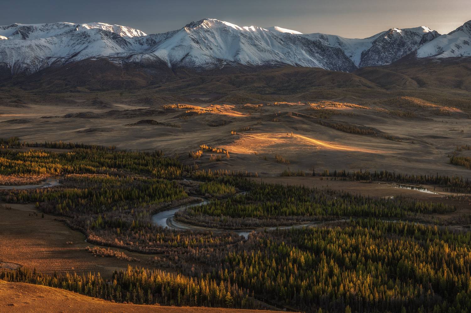 алтай, Гусева Елена