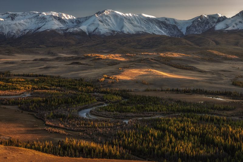 Курайская степь фото превью