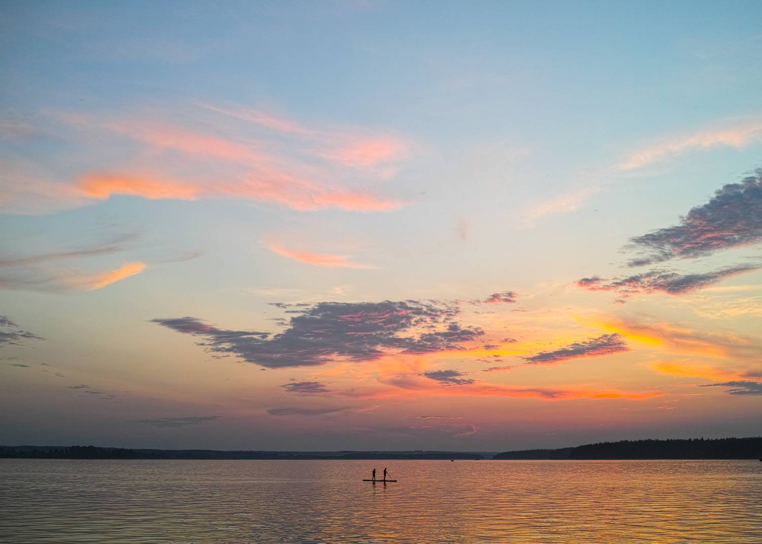 , Лофицкая Лариса