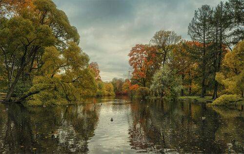 Осень на озере
