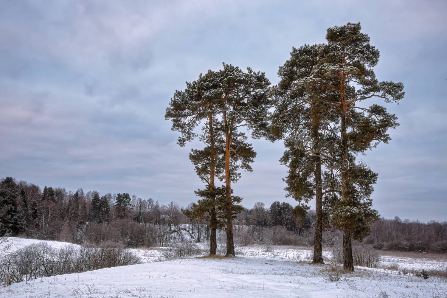 , Евгений Ерохин