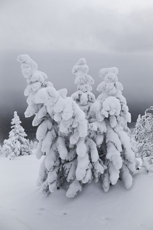 Уреньга, Южный Урал, Урал, зимний пейзаж, туризм Хребет Уреньга зимой, Южный Урал фото превью