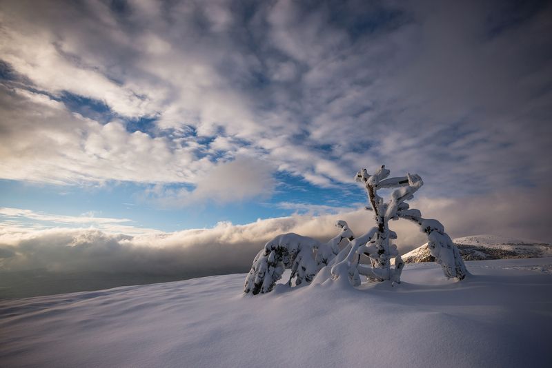 крым *** фото превью