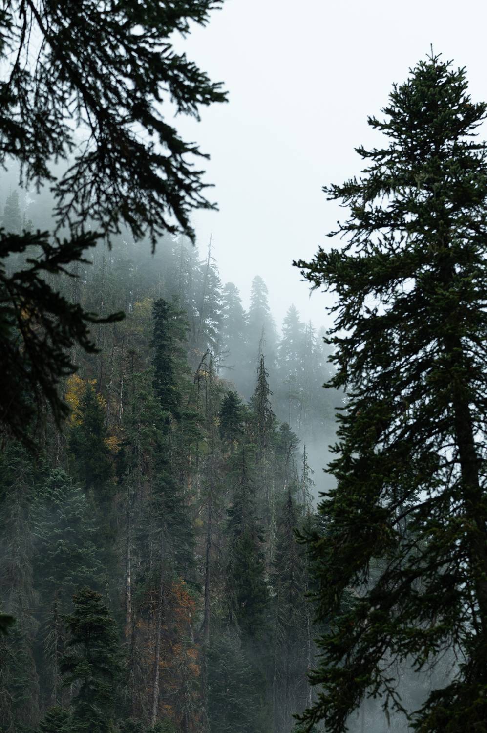 , Перевозчиков Андрей