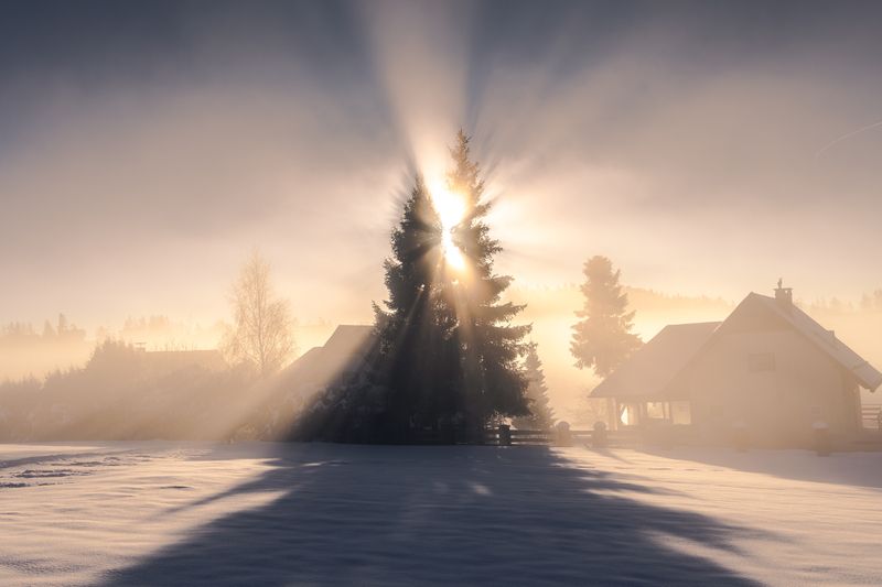 winter Winter morning фото превью