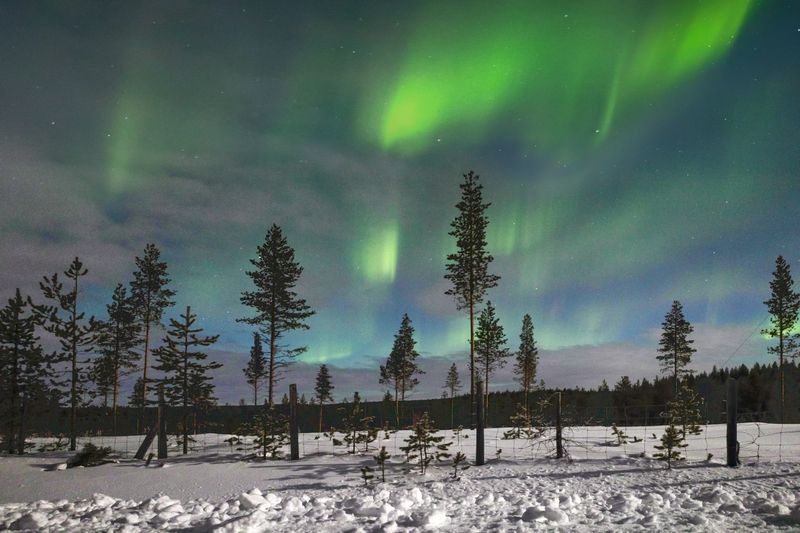 Lapland фото превью