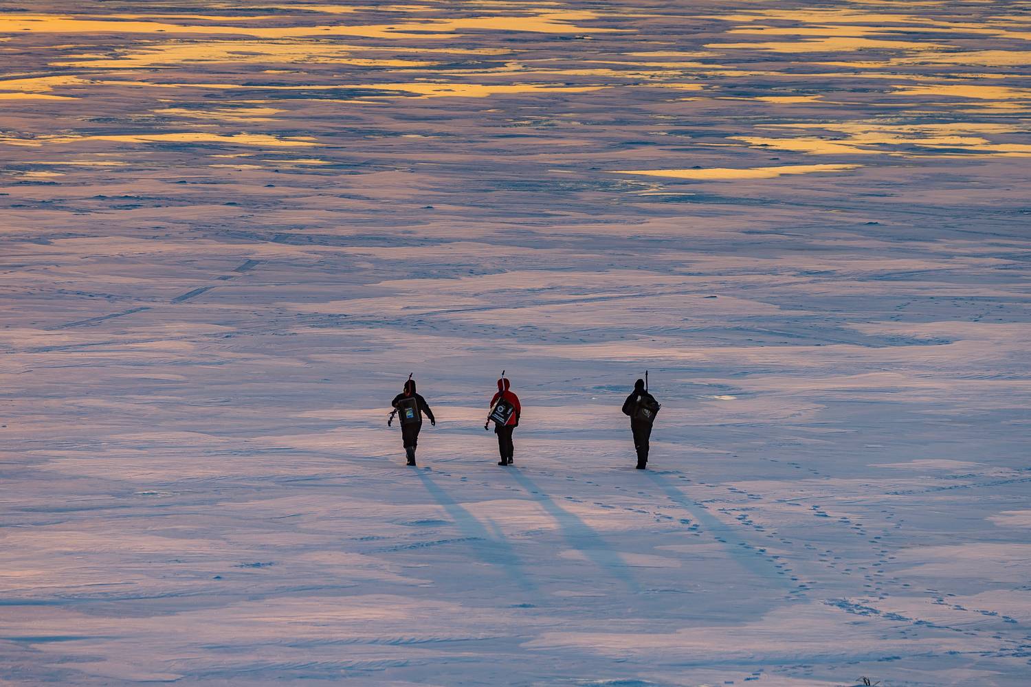 , Подосинников Максим
