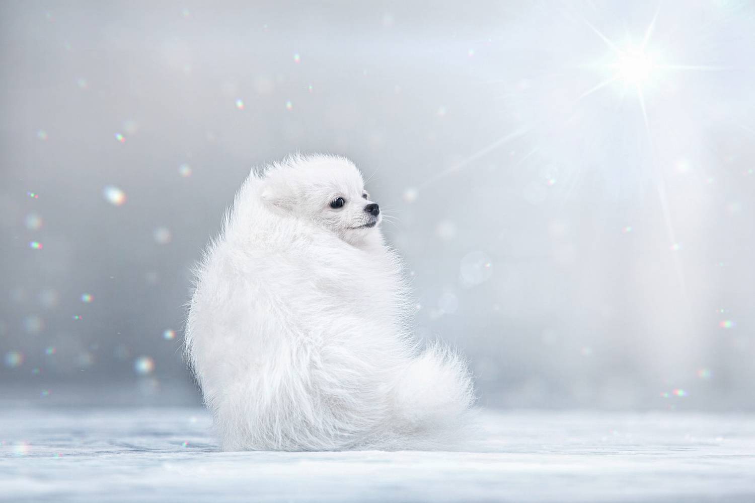 , Татьяна Тихомирова