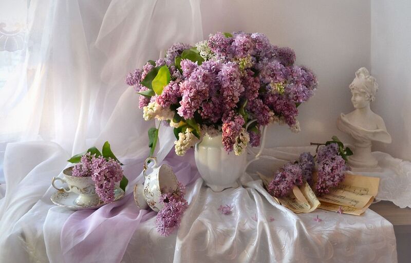 still life, натюрморт, цветы, фото натюрморт, весна, май, сирень, фарфор, настроение, В закатный час, теплом души согретая... фото превью